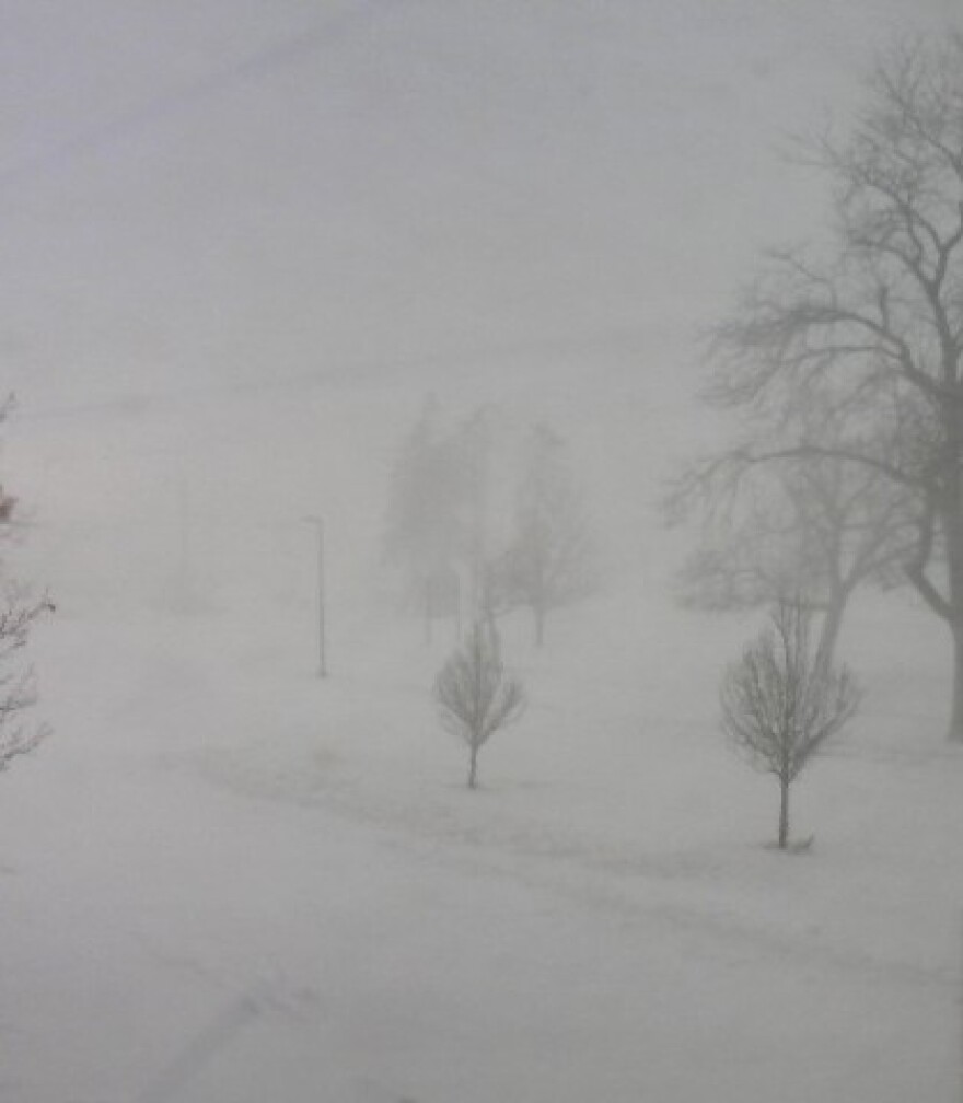 White out conditions on Main Street in north Buffalo