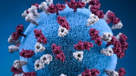 A 3D graphic representation of a spherical-shaped, measles virus particle, that was studded with glycoprotein tubercles. More: