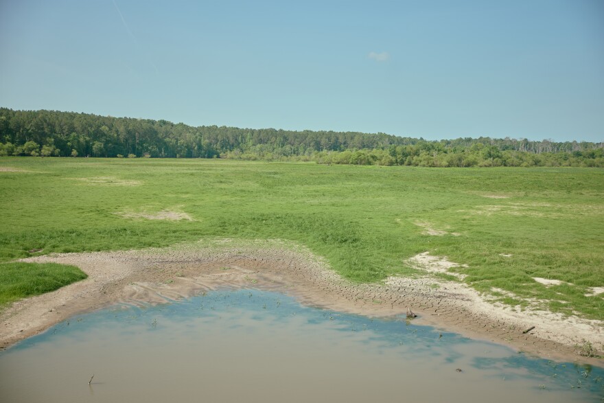Falls Lake shows signs of North Carolina's drought conditions along the Mountains-to-Sea Trail on June 22, 2026, in Durham, N.C.