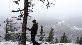 Kevin White checks a trail camera strategically positioned to capture images of lynx and other wildlife in the Chilkat Valley.