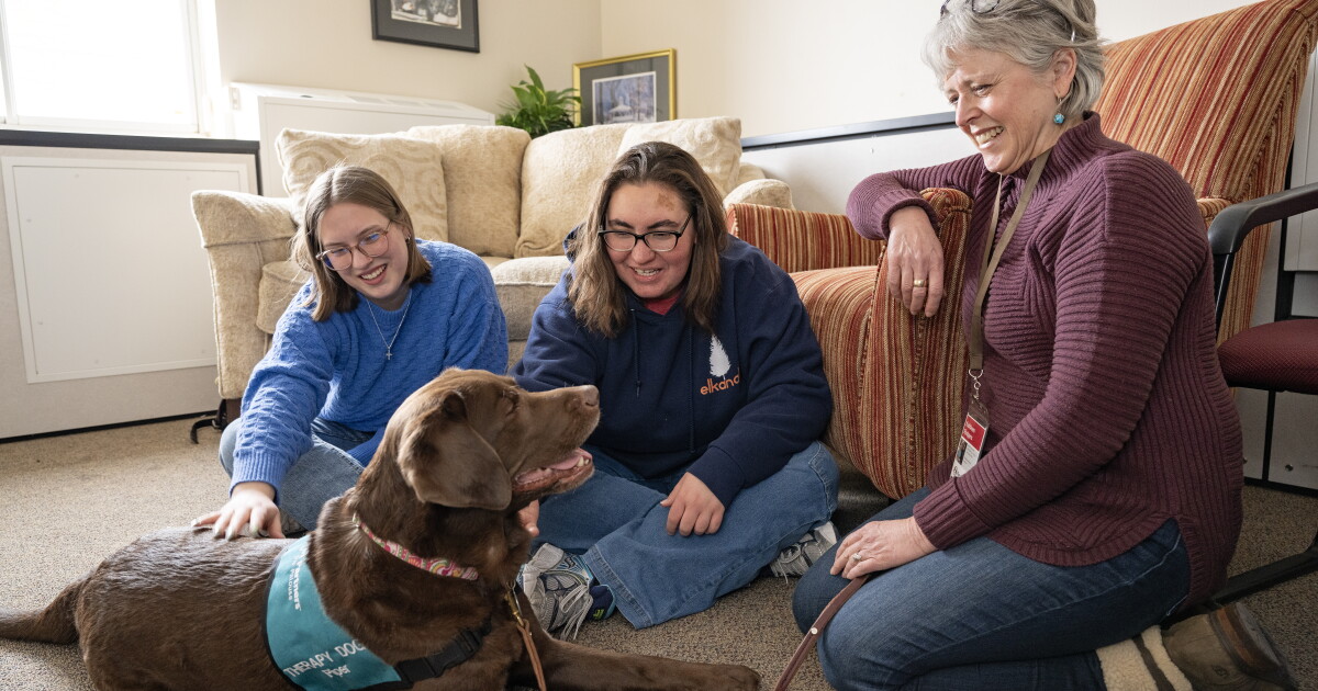 Therapy dogs help students relieve stress, according to WSU study