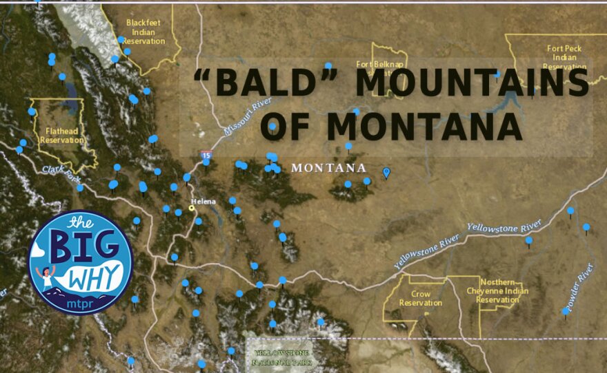 A map with pins for "Bald" mountains in Montana.  Montana has at least 46 mountains with some variation of the word "Bald" in them.