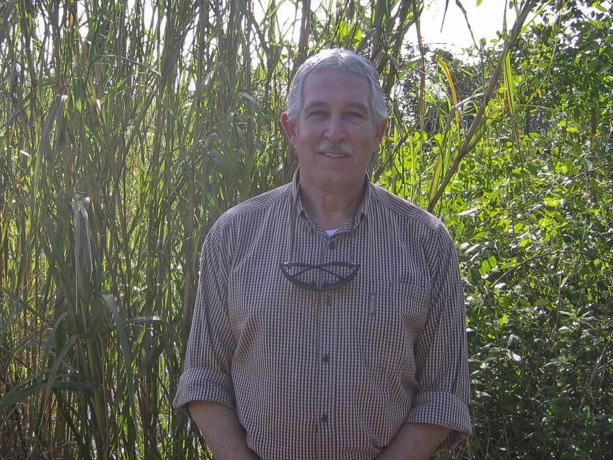 Hydrologist Bob Johnson has worked on Everglades restoration for more than three decades.