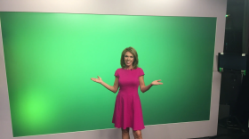 Terri DeBoer stands in a dress in front of a green screen on a  TV set.