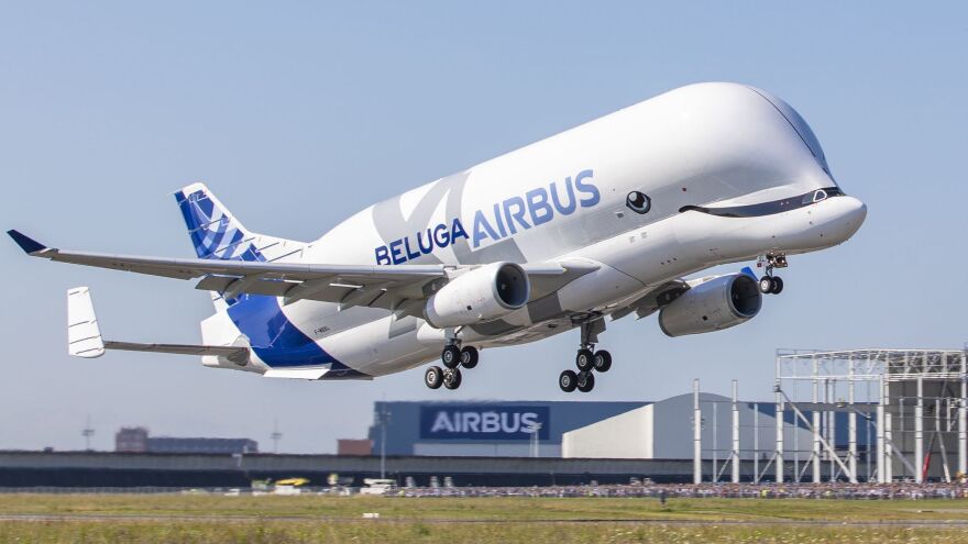 The Airbus BelugaXL, built to transport large aircraft pieces, took off on its first flight Thursday from France's Toulouse-Blagnac Airport.