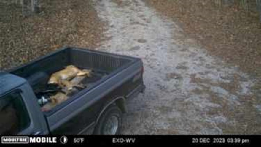 A trail cam recorded this truck with dead dogs going to a site in the Daniel Boone National Forest — then returning without them.