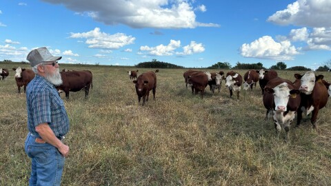 Wilburn Harris owns about 70 head of cattle in Drexel, Missouri. He would have had to sell many last year if not for federal drought relief.