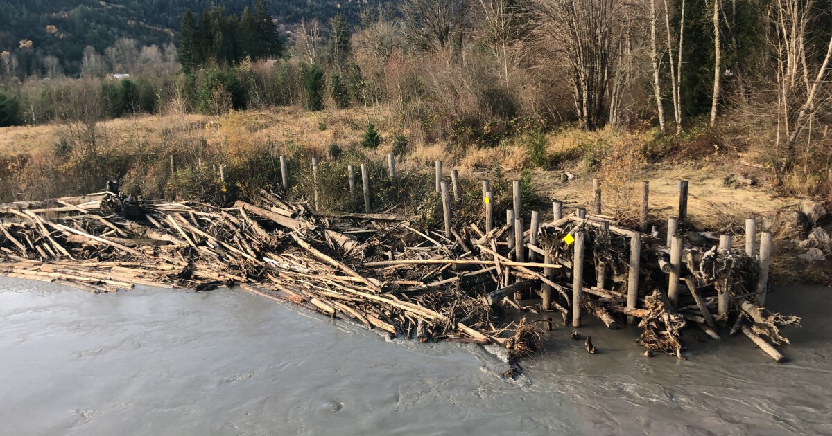 As officials tally losses from flood damage, tribes say impacts on fish runs won't be known for years - knkx.org