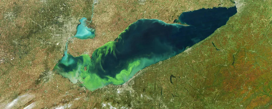 An algal bloom in Lake Erie in 2011. (credit NASA)