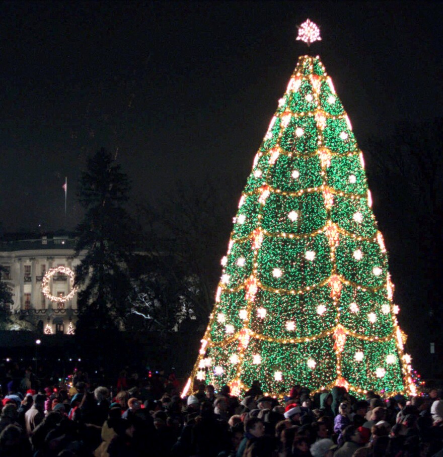 The National Christmas Tree on the Ellipse near the White House after being lit at the annual Pageant of Peace ceremony in December 2000.