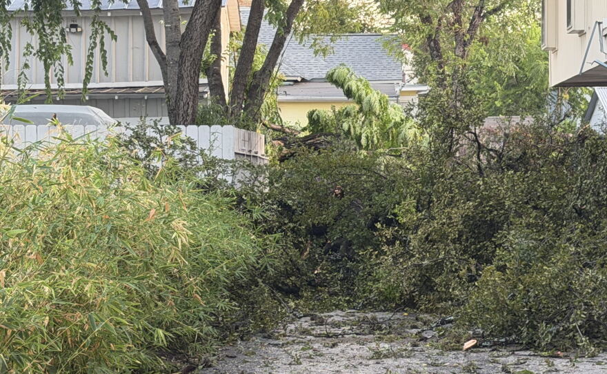A summer storm caused power outages and downed trees in parts of San Antonio. Aug. 28, 2026