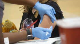Currently, only children 12-older are eligible to receive a COVID-19 vaccine. (Daylina Miller/WUSF Public Media)