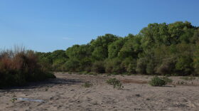 More than 112 miles of the Rio Grande in Albuquerque were dry as of Aug. 30, 2026, which marks the most dry miles in at least two decades.