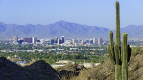 Phoenix skyline with a cactus