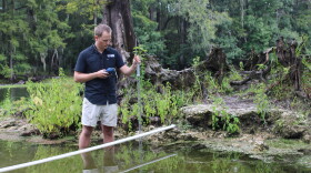 Environmental scientist Bill Hawthorne measures water velocity in the Poe Spring run.