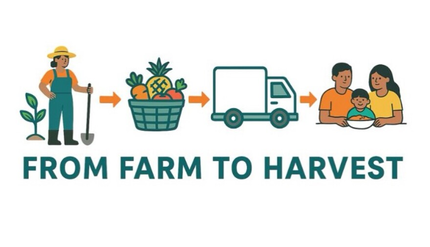 Maui Hub is one of the avenues SNAP customers can use to purchase locally grown food.