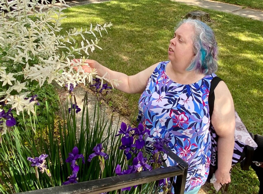 A photo of a person with blue, grey and purple hair and wearing a purple, blue and pink flowered shirt holds onto a plant.