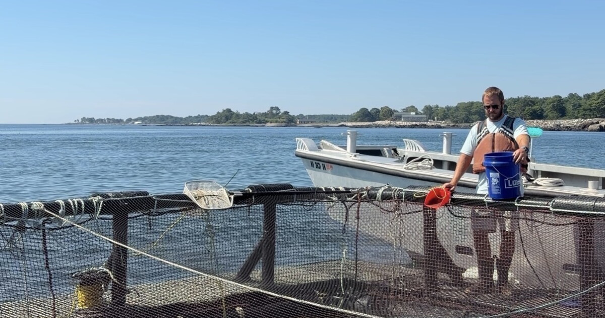 UNH's ‘AquaFort' sustainable seafood project goes nationwide