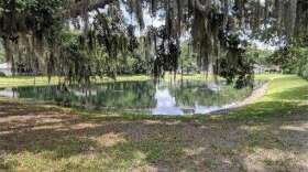 Here's a typical stormwater pond in a Florida community with bank erosion and a lack of plantings along its perimeter. (UF/IFAS/Courtesy)