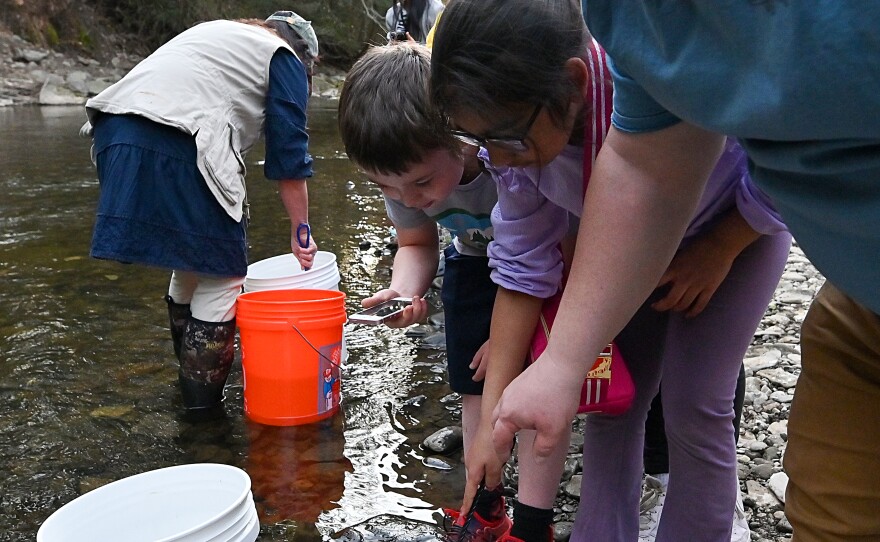 Fourth graders Daniel Vannan, 9, and Ariana Siddiqui, 10, look for the released fish.