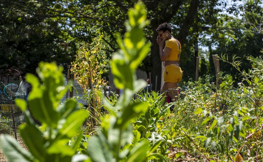 Neighbors often strike up conversations with the gardening volunteers about topics such as using fresh crops in cooking, local community matters, events and more.
