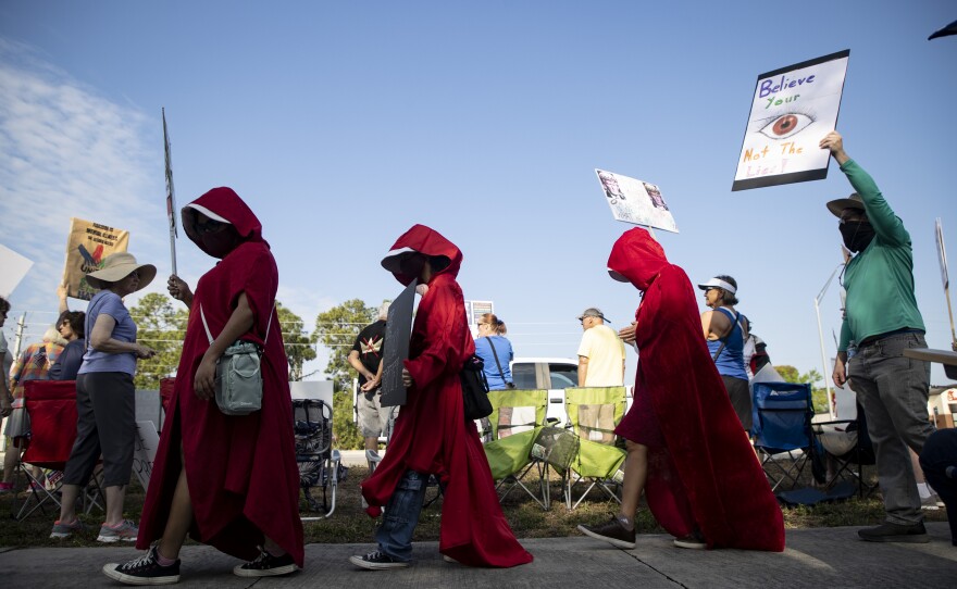 Protesters line U.S. 41 near Daniels Parkway on Saturday, March 28, 2026, for the No Kings rally.