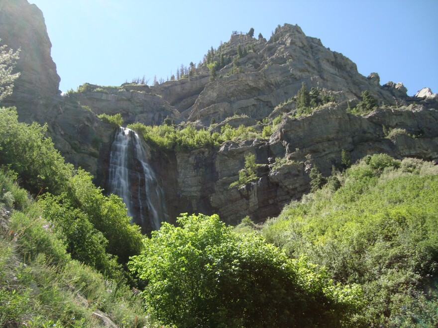  A waterfall flows over a curved ridge, surrounded by green bushes and trees. 