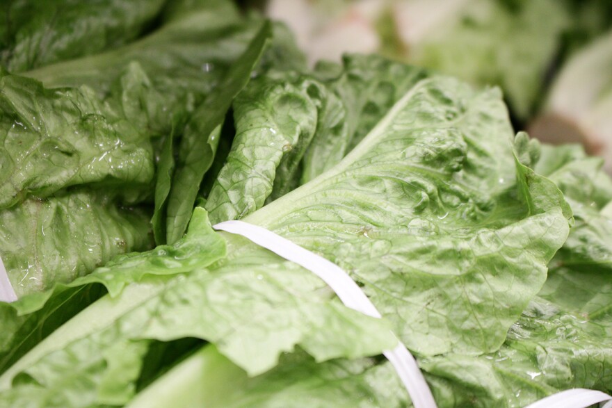 Romaine lettuce