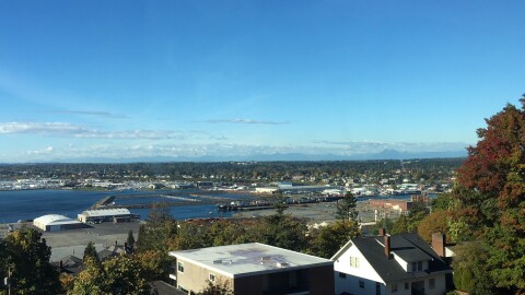 A high shot of neighborhood on the edge of a body of water.
