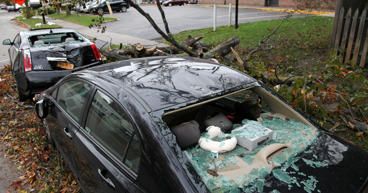 High winds bring down tree limbs and power lines | WXXI News