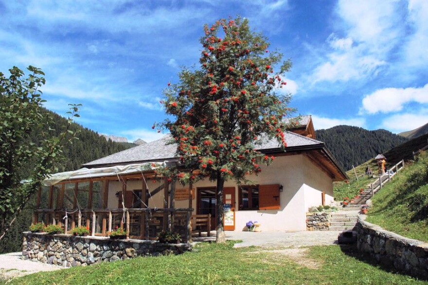 Francesco Lenzi's homestead in a region in the Italian Alps called Trentino. Lenzi, a cheese-maker and farmer, raises cows that can be "adopted" by locals or visitors through the Adopt A Cow Program.