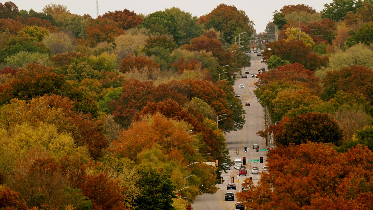 What are Kansas City's best fall festivals and autumn events? We made a guide