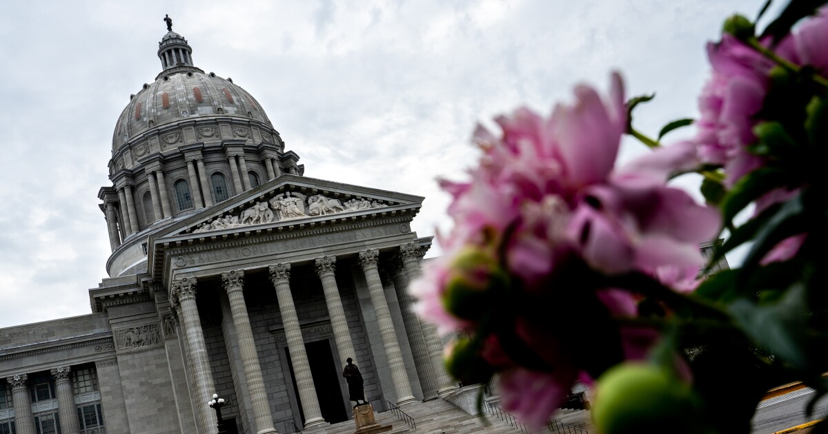 Porn site users in Missouri will have to prove they are at least 18 under verification bill