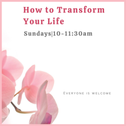 How-to-Transform-Your-Life-5-×-5-in-600x600.png