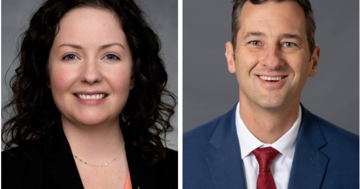 Women will make up less than a third of NC's legislature in 2025 | WUNC ...