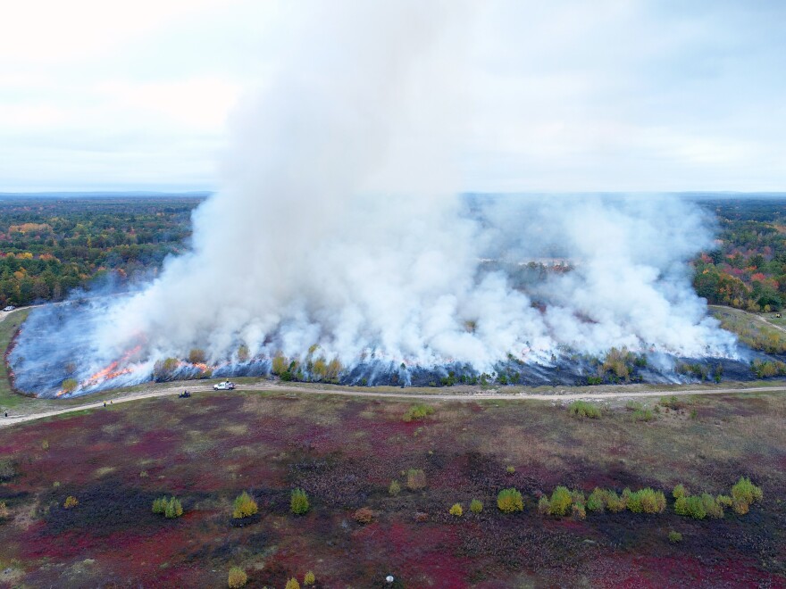 A controlled burn