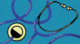 The same steep growth and use of big data that attracted venture capital cash to companies that administer Medicare Advantage plans have led to scrutiny of the companies by government officials.