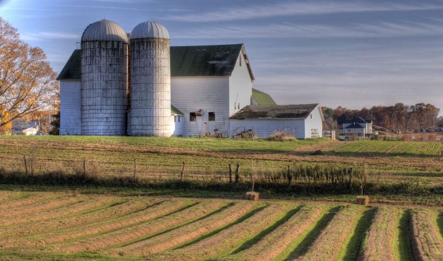 a farmhouse standing behind a row of crops