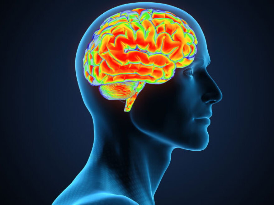 Profile view of man and his brain.  In our second hour, guests explain the rehabilitation process and the road to recovery from brain injury.