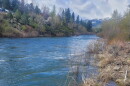 The Truckee River flowing high between tree-lined banks, with snow-covered mountains visible in the distance beneath a partly cloudy sky.