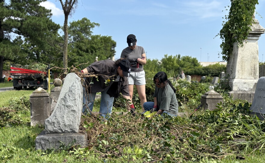 Sailors from the USS Harry S. Truman help remove ivy at Elmwood Cemetery in Norfolk in August 2026.
