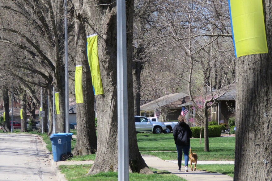 Residents of Prairie Village, Kansas, hung Ukrainian flags up and down their streets to send a message of solidarity with the war-torn country. The western town of Dolyna, Ukraine is a sister city to P.V.