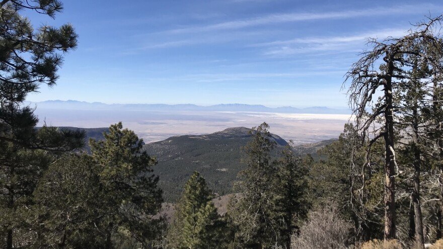 The Sacramento Mountains are seen as an "island in the sky," a refuge of forest land in the otherwise harsh southern New Mexico desert.