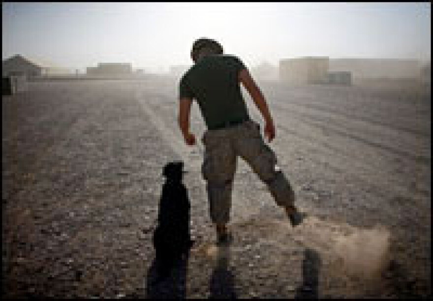 Jenni, a black lab trained to detect bombs, heels next to Snider.
