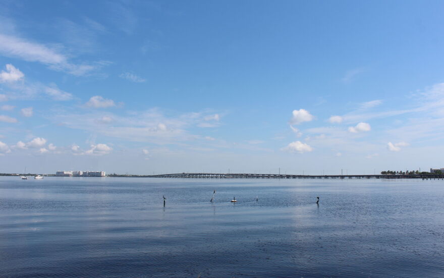 Because the Punta Gorda Boat Club sits on Charlotte Harbor, it is at risk for flooding from storm surge in the event of a hurricane or tropical storm.