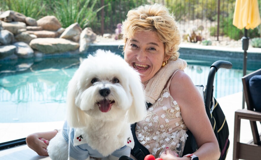 Small white dog looks at camera in blonde woman's lap in front of pool
