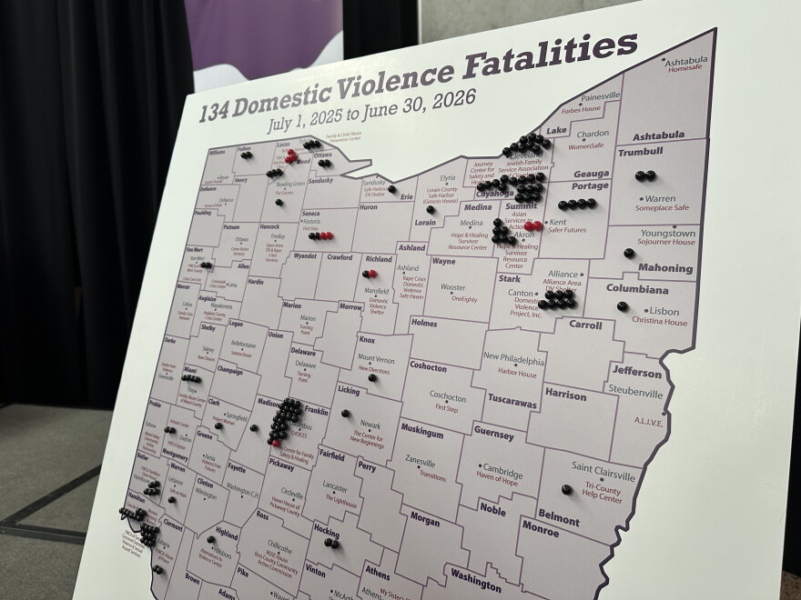 Pins mark domestic violence deaths around the state between July 2025 and June 2026.