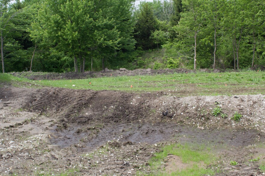 053118-am-Trees_Carney-swale.jpg