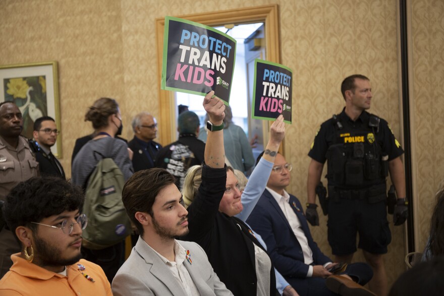 Trans advocates hold up "Protect Trans Kids" signs at a joint Florida Board of Medicine and the Florida Board of Osteopathic Medicine meeting.