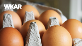 En la imagen se puede observar un carton de huevos de color cafe.  En el lado inferior de la imagen esta el logo de Que Onda Michigan sobre un fondo blanco. En la parte derecha las siguientes palabras estan escritas: "Todo lo que necesitas saber sobre el aumento de los precios en los huevos." En el lado superior de la imagen se encuentra las pablaras "WKAR" en color blanco.  y "Repetido - Episodio 82".